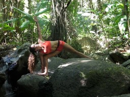 427244_450231951712180_720819956_n